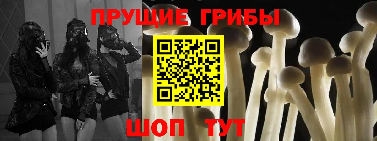 Псилоцибиновые грибы прущие грибы  Вход с VPN  Омск  Галлюциногенные грибы прущие грибы 